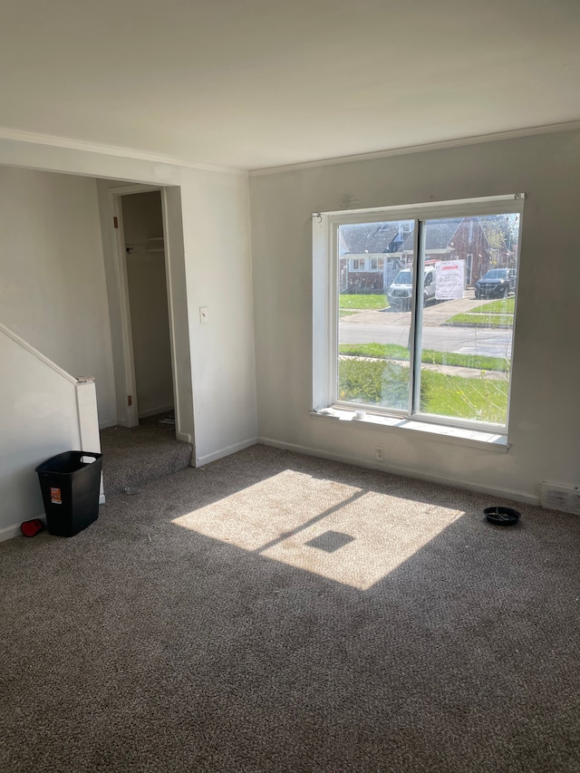 carpeted empty room with baseboards