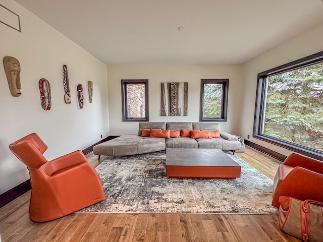 47490 Bellagio Dr, Northville, MI 48167 - living room featuring wood finished floors and baseboards