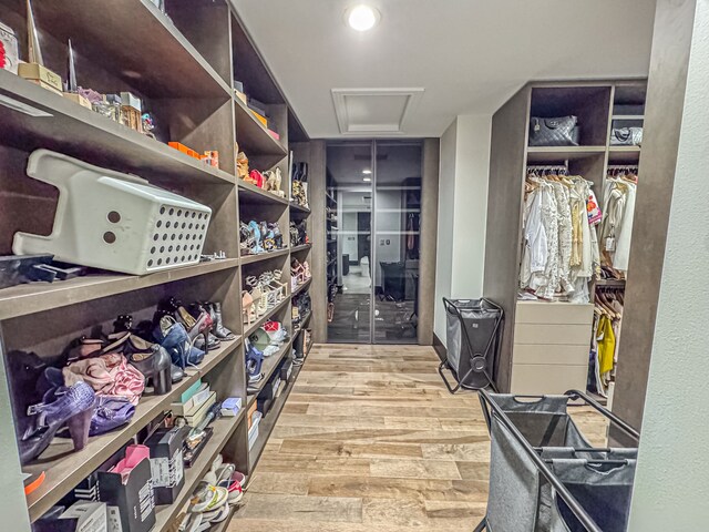 47490 Bellagio Dr, Northville, MI 48167 - storage room with attic access