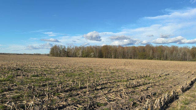 view of undeveloped land with rural landscape