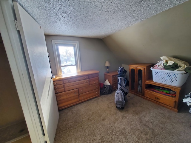 4235 Vine St, Brown City, MI 48416 - additional living space with carpet flooring, a textured ceiling, and lofted ceiling