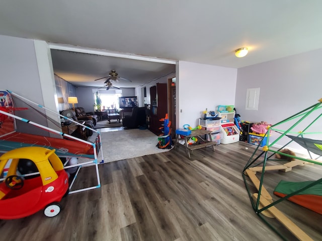 4235 Vine St, Brown City, MI 48416 - rec room with wood finished floors and ceiling fan