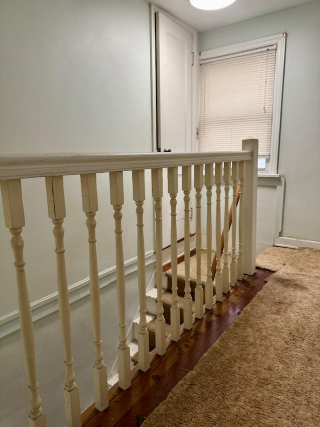 stairway featuring wood finished floors