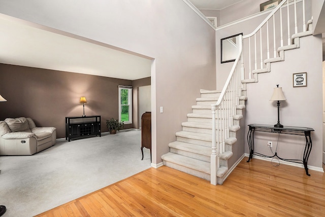 1079 Trailside Blvd, Wixom, MI 48393 - stairs with wood finished floors, baseboards, and a towering ceiling
