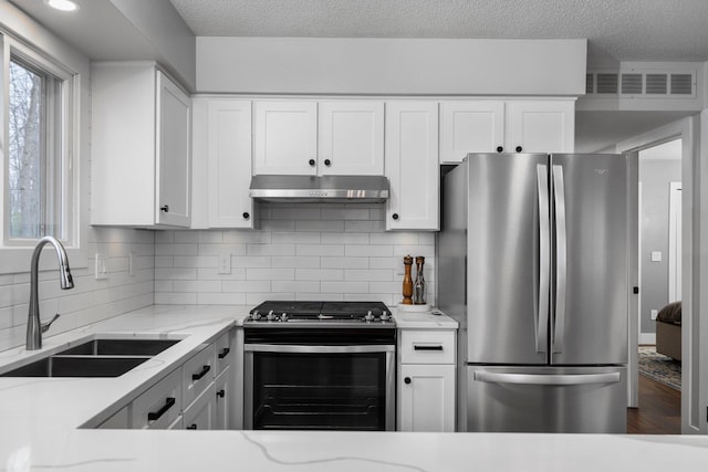 kitchen featuring appliances with stainless steel finishes, under cabinet range hood, a sink, light stone counters, and decorative backsplash