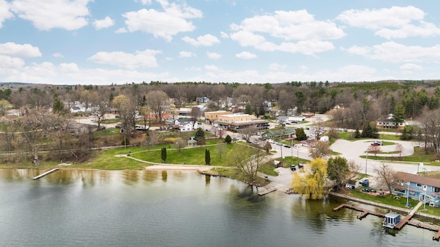bird's eye view of a large body of water
