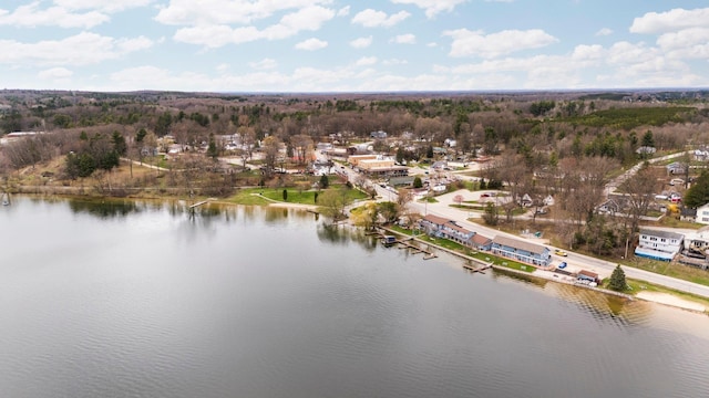 bird's eye view of a nearby body of water