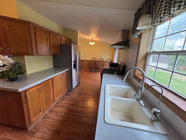 205 Wren Rd, Sturgis, MI 49091 - kitchen featuring wall chimney range hood, a sink, wood finished floors, appliances with stainless steel finishes, and brown cabinets