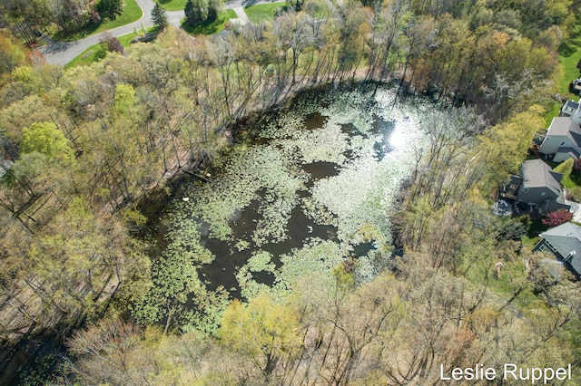 view of property location with a large body of water
