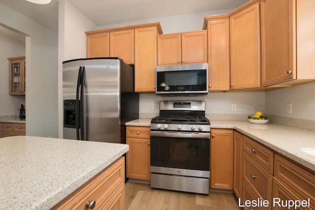 kitchen with stainless steel appliances and light wood-style flooring