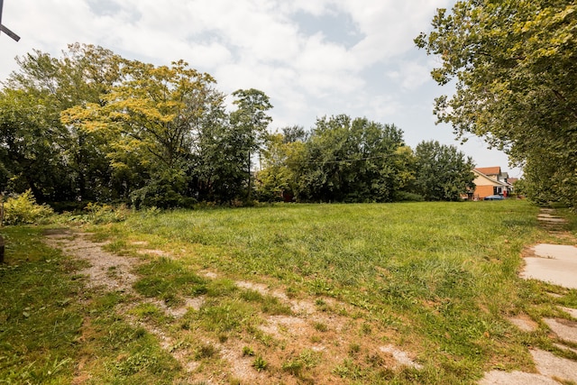 551 Algonquin St, Detroit, MI 48215 - view of yard
