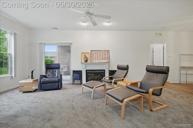 16490 Norfolk Dr, Macomb, MI 48044 - carpeted living room with a glass covered fireplace, a ceiling fan, and baseboards
