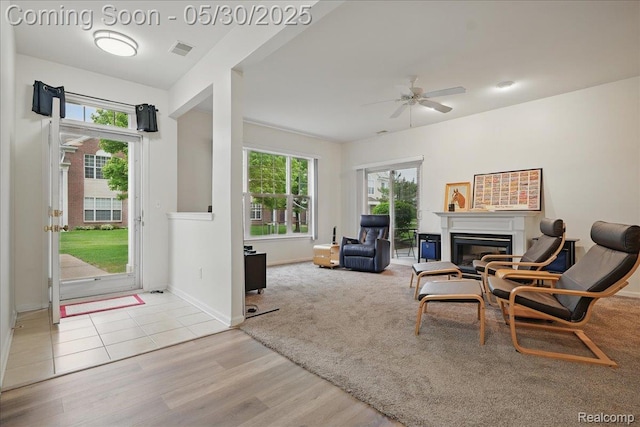 16490 Norfolk Dr, Macomb, MI 48044 - living area featuring ceiling fan, a glass covered fireplace, wood finished floors, and baseboards