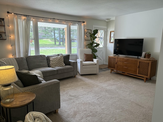 1335 N Sherman Rd, Ludington, MI 49431 - view of carpeted living room