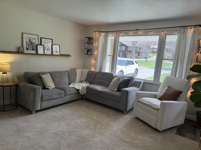 1335 N Sherman Rd, Ludington, MI 49431 - living room with carpet flooring and a textured ceiling