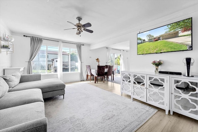 living room featuring ceiling fan and light wood-style flooring