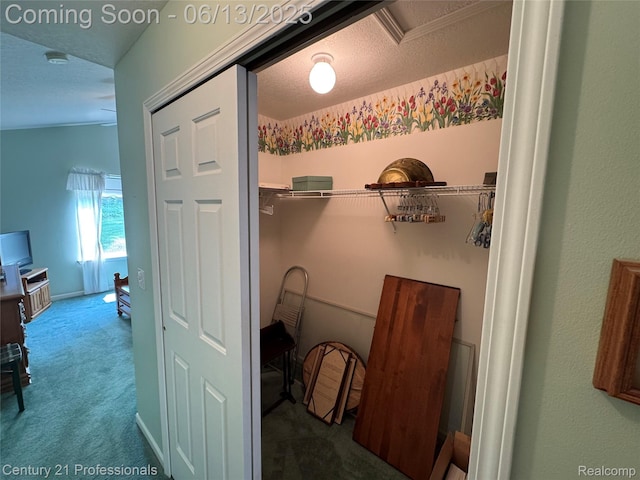 4522 Willow View Ct, Howell, MI 48843 - hallway with carpet flooring and a textured ceiling
