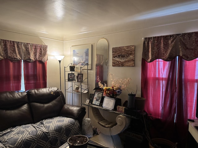 16044 Fairmount Dr, Detroit, MI 48205 - view of living area