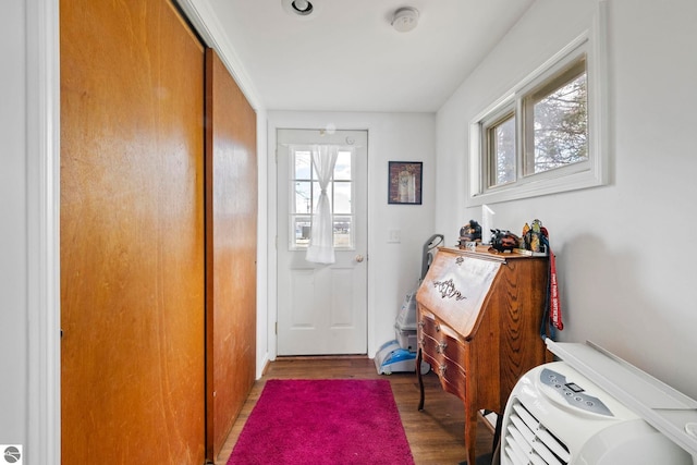 110 W 4th St, Kalkaska, MI 49646 - doorway with wood finished floors
