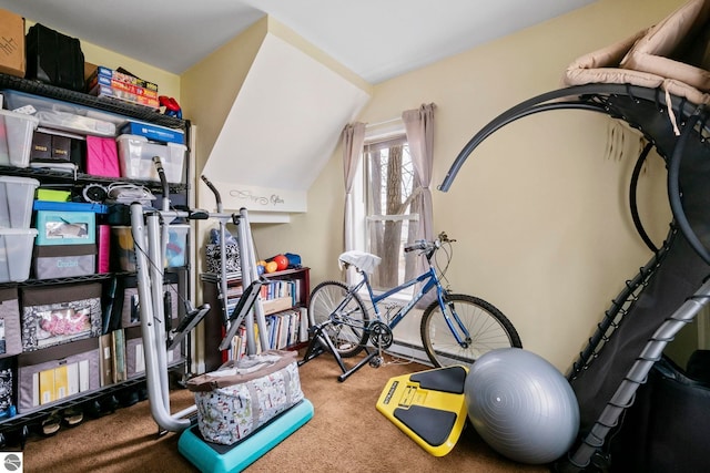 110 W 4th St, Kalkaska, MI 49646 - workout room featuring carpet floors