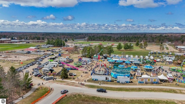 110 W 4th St, Kalkaska, MI 49646 - bird's eye view