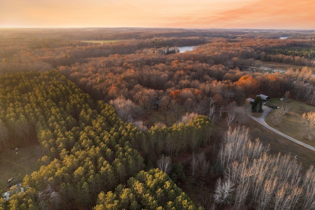aerial view at dusk of a wooded view