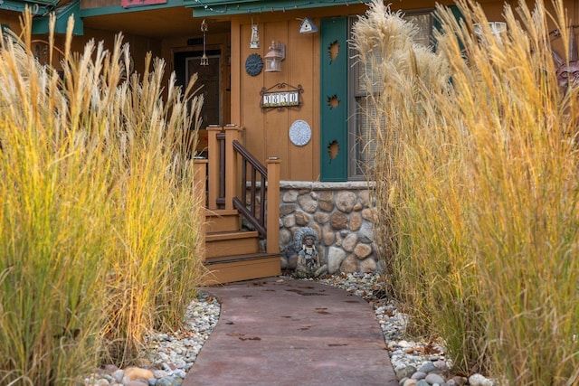 view of exterior entry with stone siding