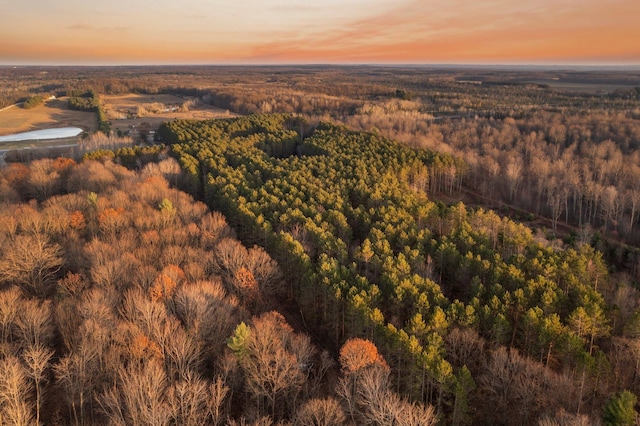 aerial view at dusk of a wooded view