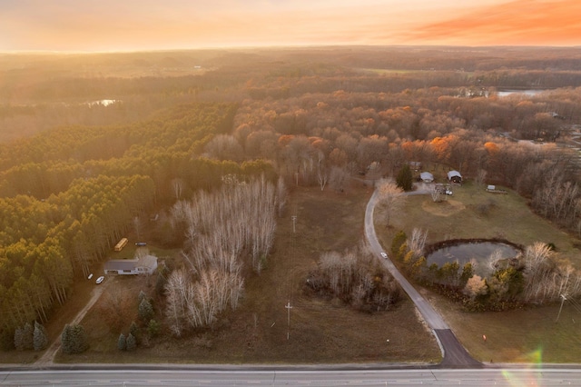 aerial view at dusk of a forest view
