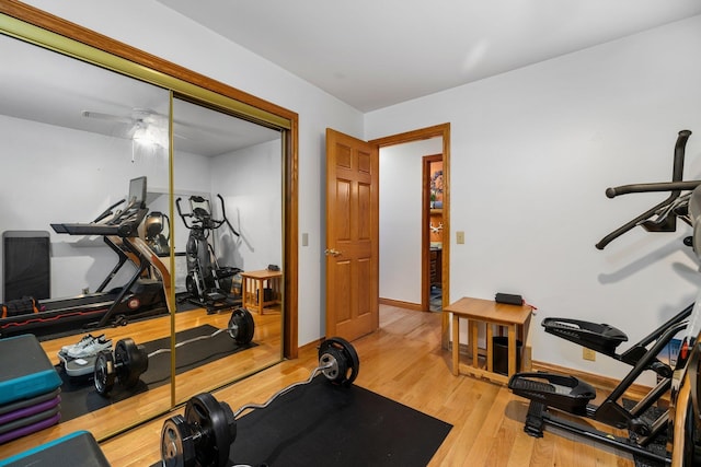 workout area featuring wood finished floors and ceiling fan