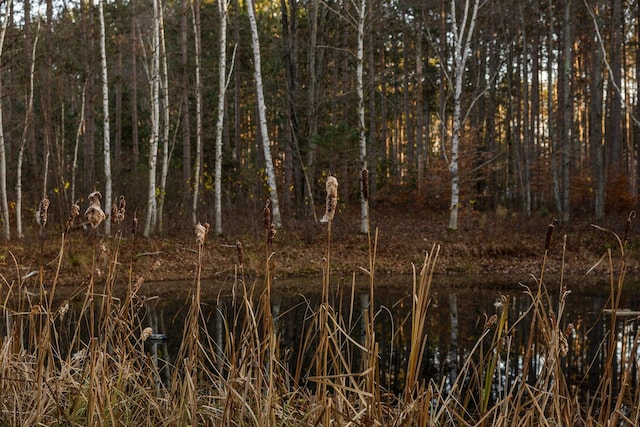 view of nature