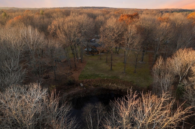 aerial view at dusk of a view of trees