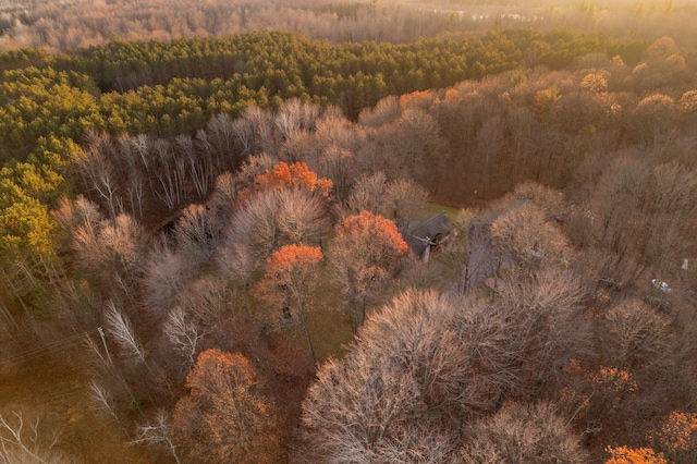 drone / aerial view of a forest