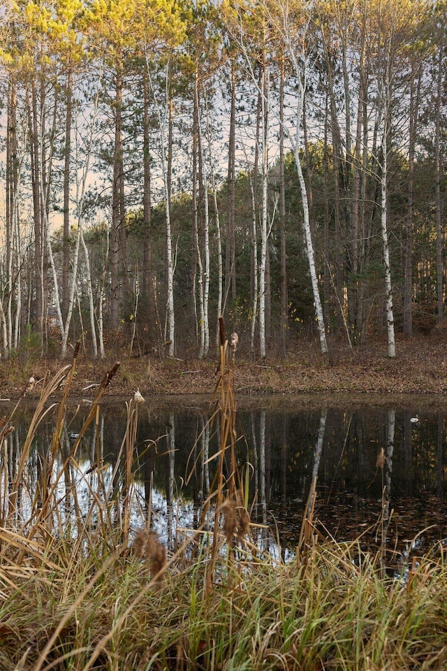 water view