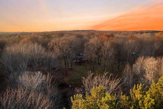 mountain view featuring a heavily wooded area