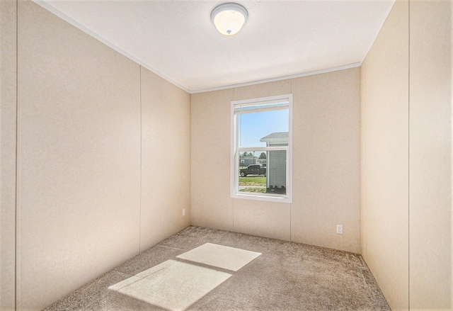 13780 Alaska Ave, Eagle, MI 48822 - carpeted spare room featuring ornamental molding
