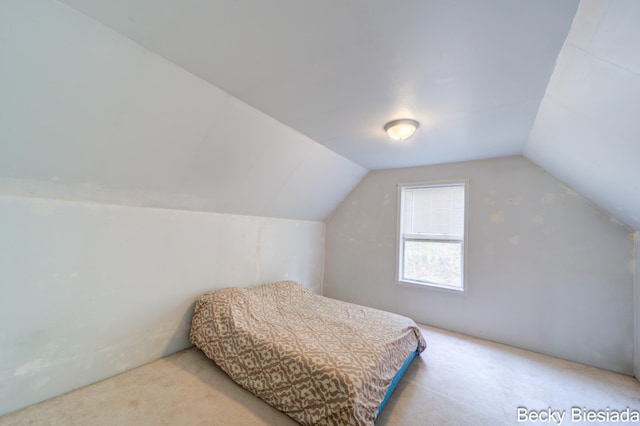 823 Warner St, Whitehall, MI 49461 - bedroom featuring carpet and vaulted ceiling