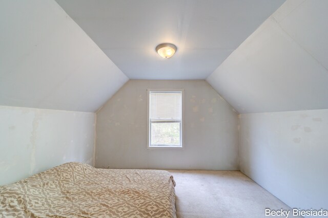 823 Warner St, Whitehall, MI 49461 - carpeted bedroom with lofted ceiling