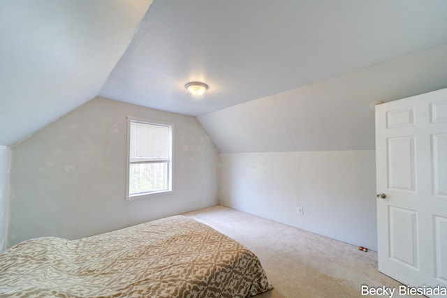 823 Warner St, Whitehall, MI 49461 - unfurnished bedroom featuring carpet flooring and lofted ceiling