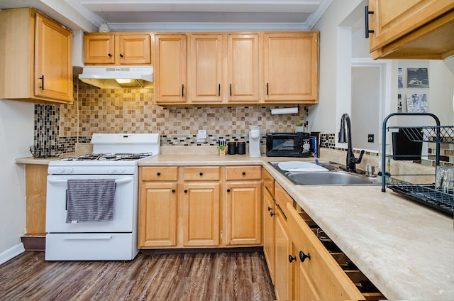 kitchen with white gas range, under cabinet range hood, a sink, dark wood-style floors, and light countertops