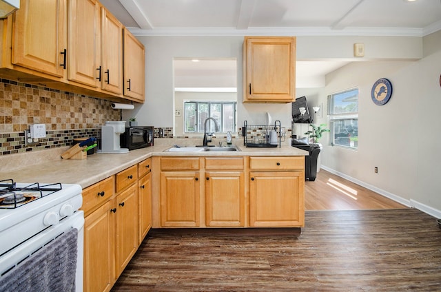 kitchen with a sink, dark wood-style floors, plenty of natural light, tasteful backsplash, and crown molding