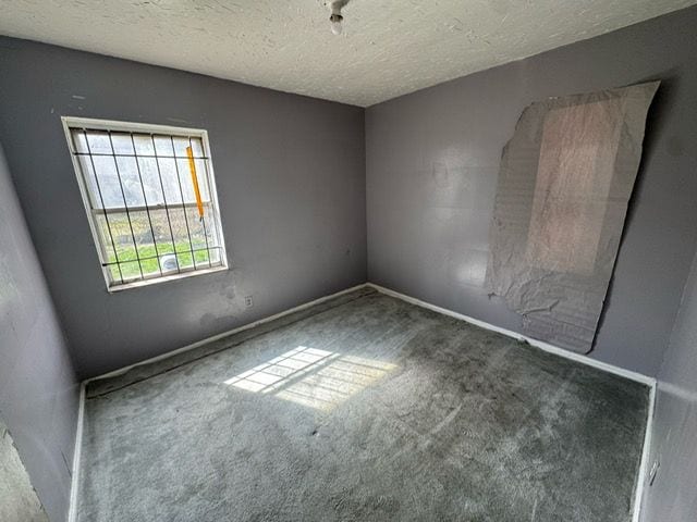 14611 Washburn St, Detroit, MI 48238 - carpeted spare room featuring a textured ceiling and baseboards