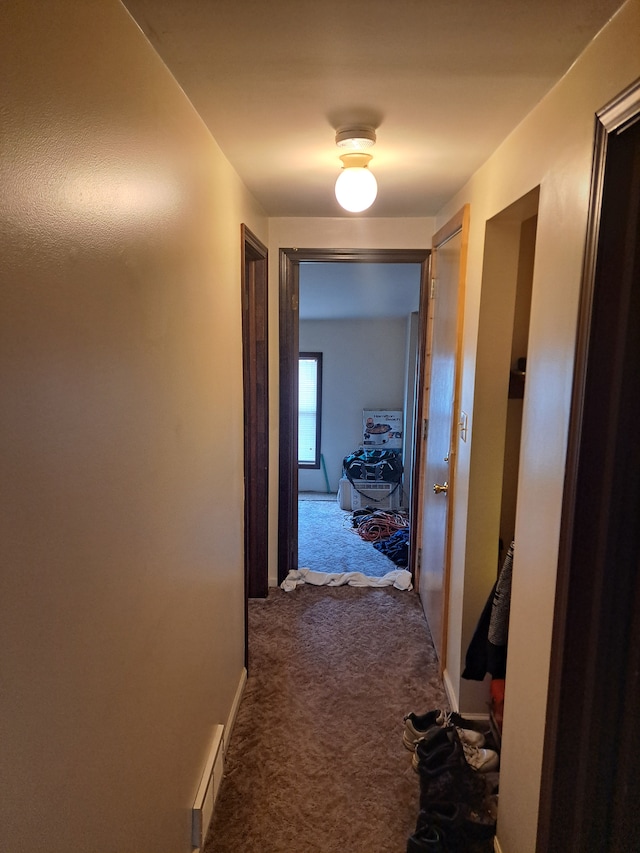 corridor with carpet floors