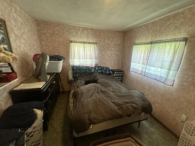 7755 Woodland Rd, Lake Odessa, MI 48849 - bedroom featuring a textured ceiling and carpet floors