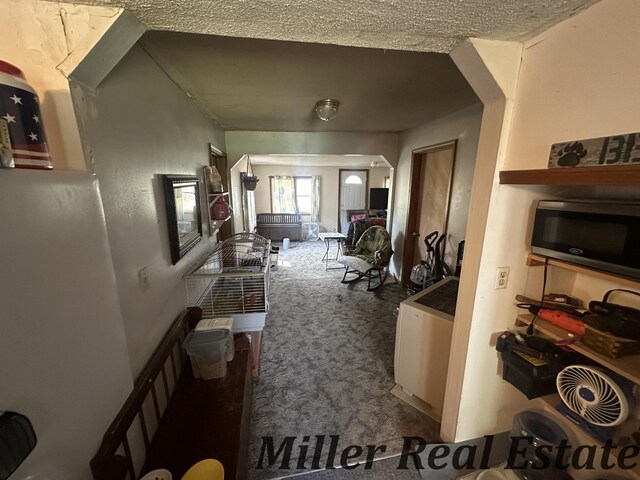 7755 Woodland Rd, Lake Odessa, MI 48849 - hall featuring carpet floors