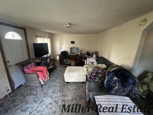7755 Woodland Rd, Lake Odessa, MI 48849 - living room with carpet floors, an office area, and a textured ceiling