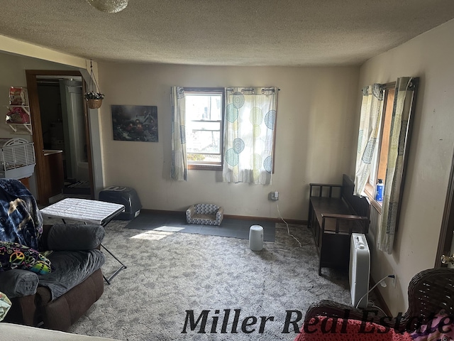7755 Woodland Rd, Lake Odessa, MI 48849 - carpeted living area featuring a textured ceiling and baseboards