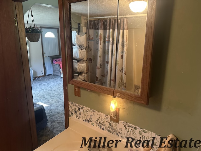 7755 Woodland Rd, Lake Odessa, MI 48849 - full bath with a textured ceiling
