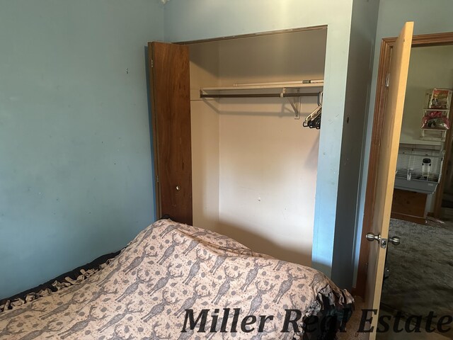 7755 Woodland Rd, Lake Odessa, MI 48849 - bedroom with a closet and carpet