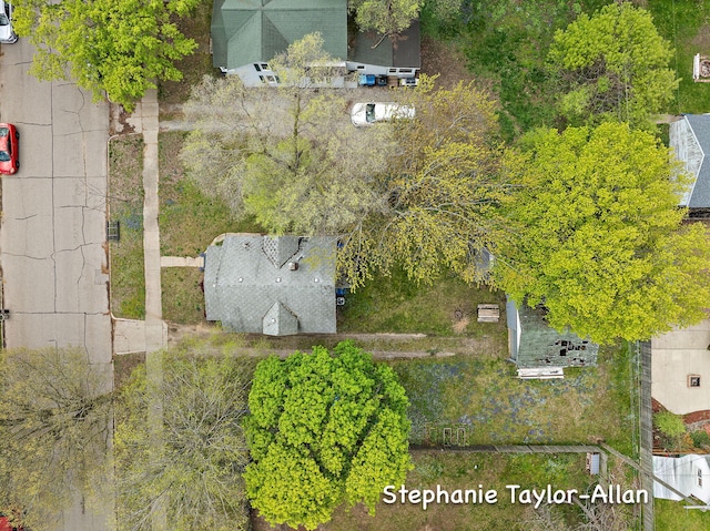 bird's eye view